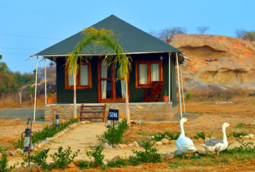 Jawai Leopard Safari Camp