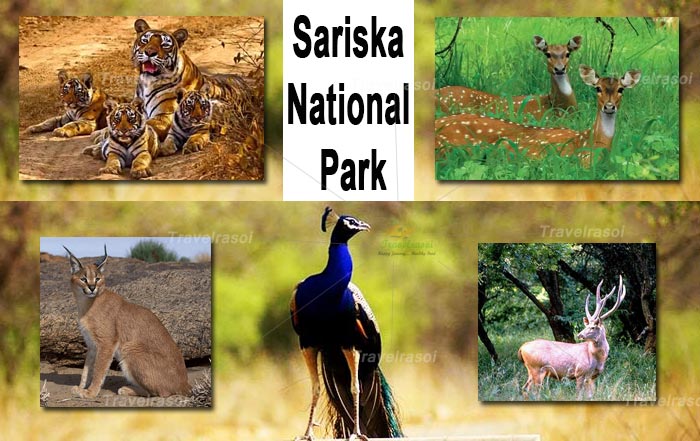 Sariska Tiger Reserve