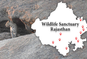 wildlife sanctuary in rajasthan