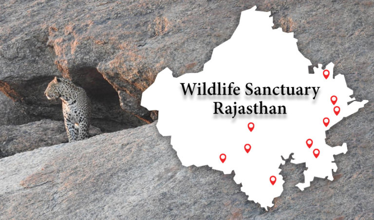 wildlife sanctuary in rajasthan