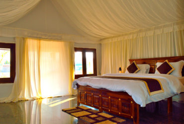 Luxury Tent Resort to Stay in Jawai