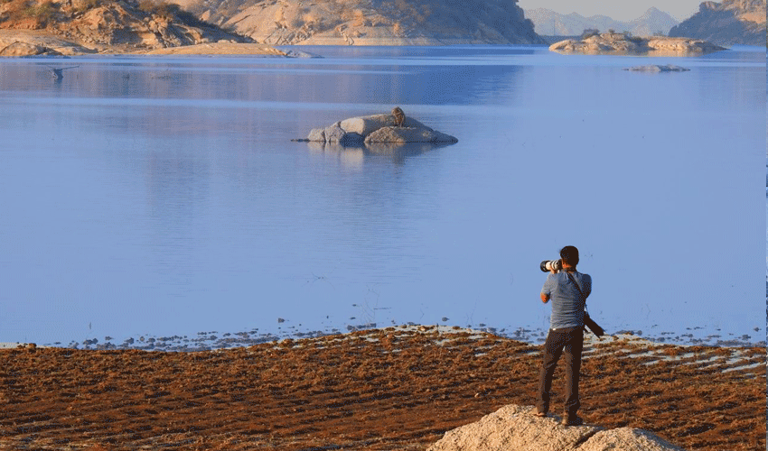 jawai-bandh-photography