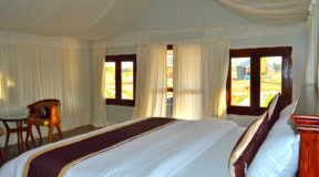 biggest jungle safari in india biggest jungle safari in india