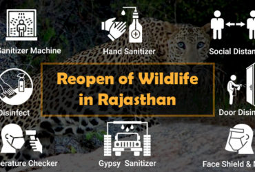 Reopen of Wildlife Safari in Rajasthan