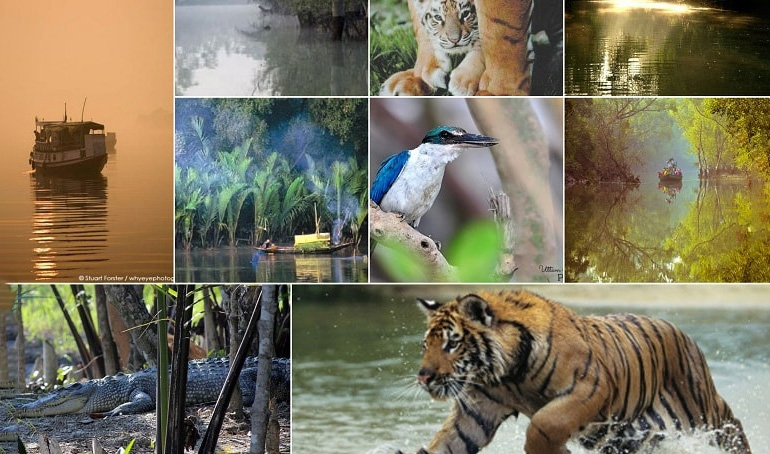 Sundarbans National Park