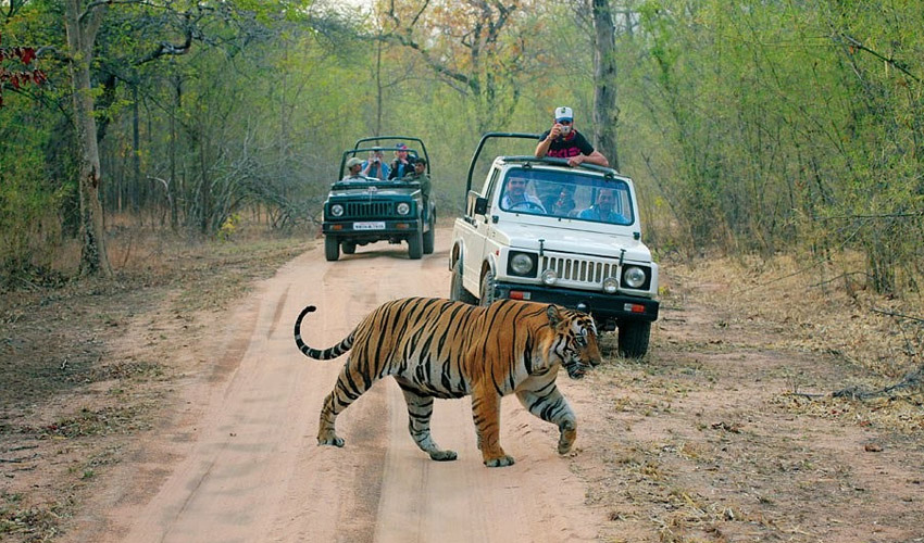 Jim-Corbett-National-Park-Uttarakhand