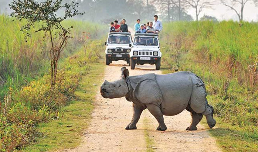 Kaziranga-National-Park-Assam