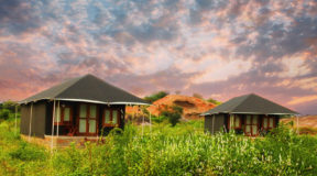 biggest jungle safari in india biggest jungle safari in india