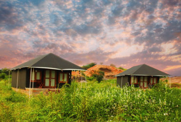 wildlife resorts in rajasthan