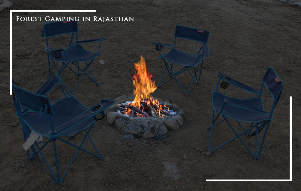 Forest Camping in Rajasthan
