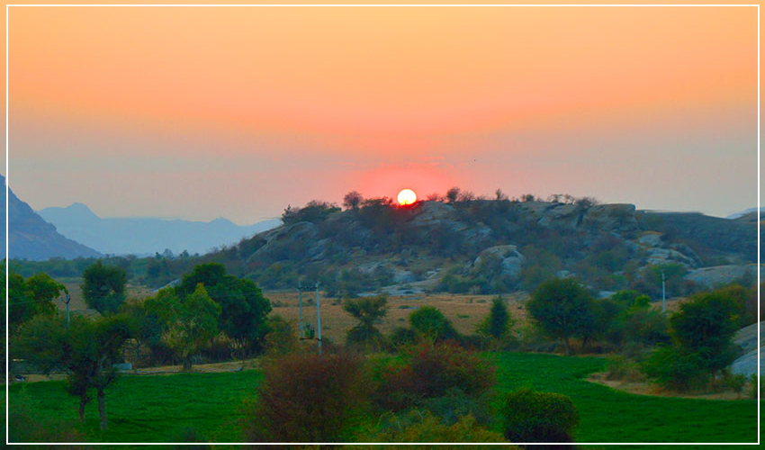 leopard-safari-in-jawai