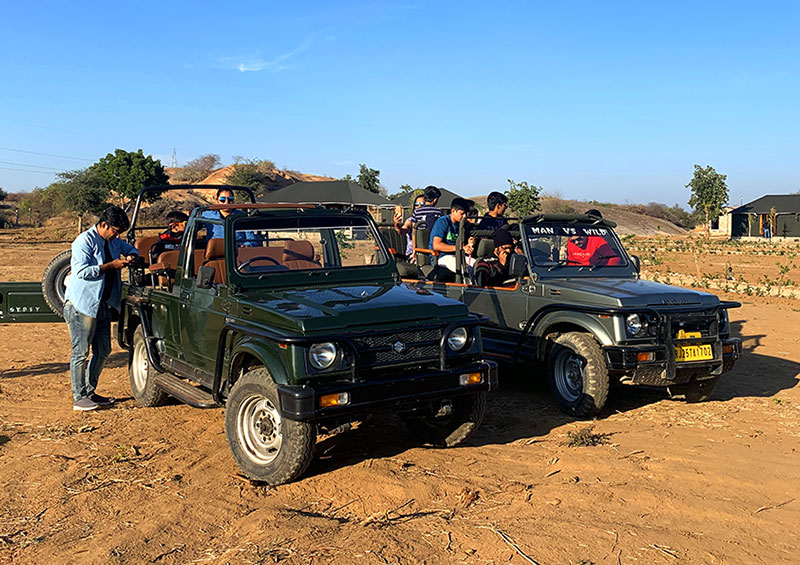 Jungle Safari in Rajasthan