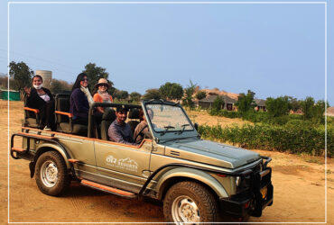 jawai leopard safari