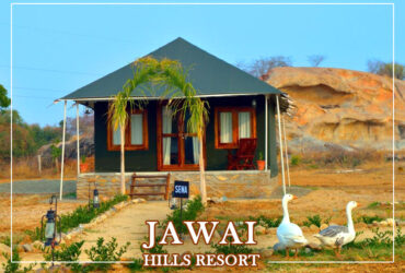 jawai hills resort