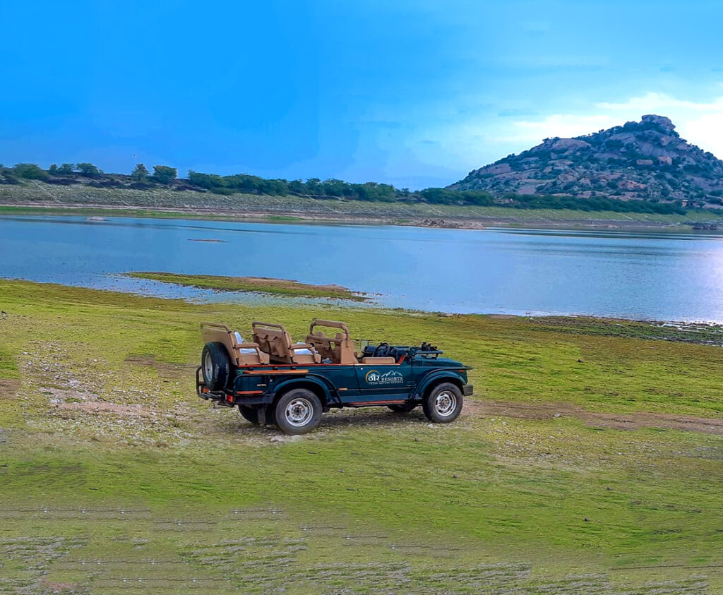 jawai bandh rajasthan