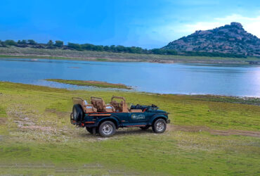 jawai bandh rajasthan