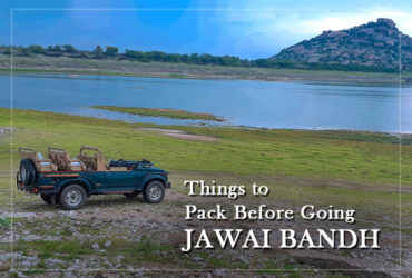 things to pack before going jawai bandh trip