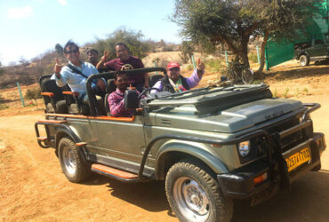 Jungle safari in Jawai Safari