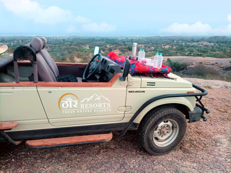 high tea on jawai hills