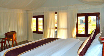 Best Leopard Safari Camp in Jawai Bandh Rajasthan
