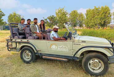 Leopard Safari Bera Jawai Bandh