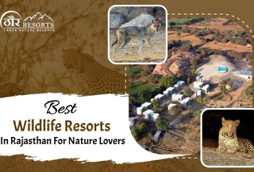Best Wildlife Resorts in Rajasthan for Nature Lovers