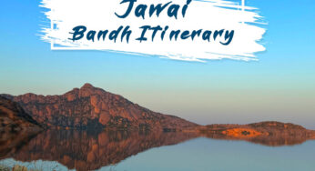 2 Night 3 Days Jawai Bandh Itinerary