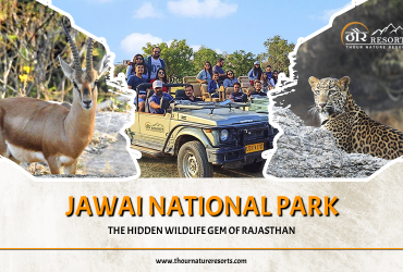 Jawai National Park