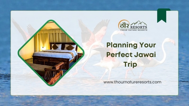 Perfect Jawai Trip