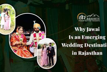 wedding resorts in jawai