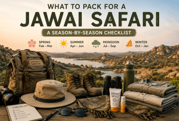 What to pack for a Jawai safari season-by-season checklist