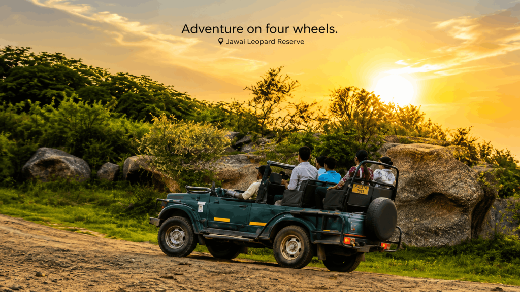 jawai leopard safari