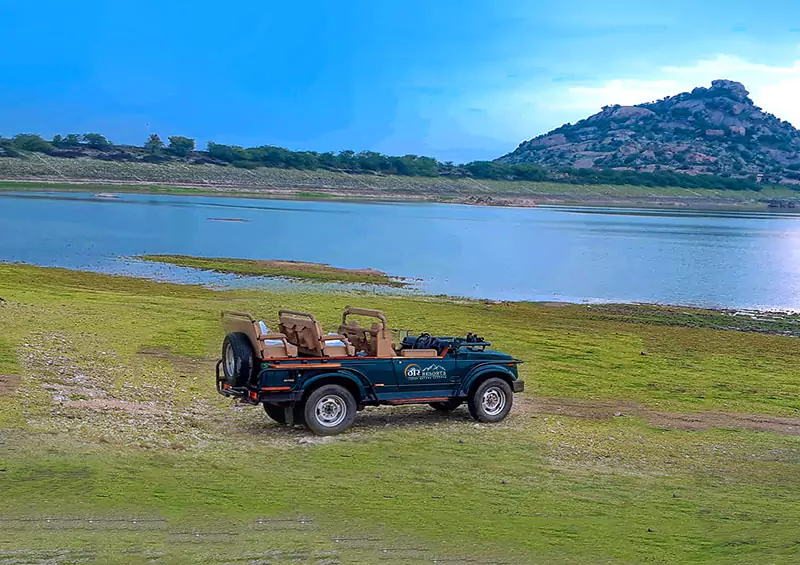 Jawai Dam