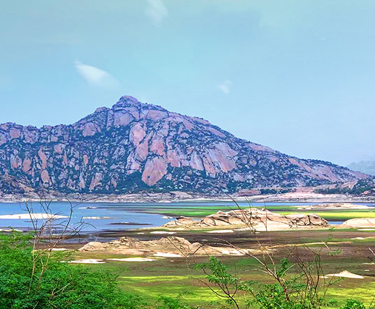 jawai leopard's hills