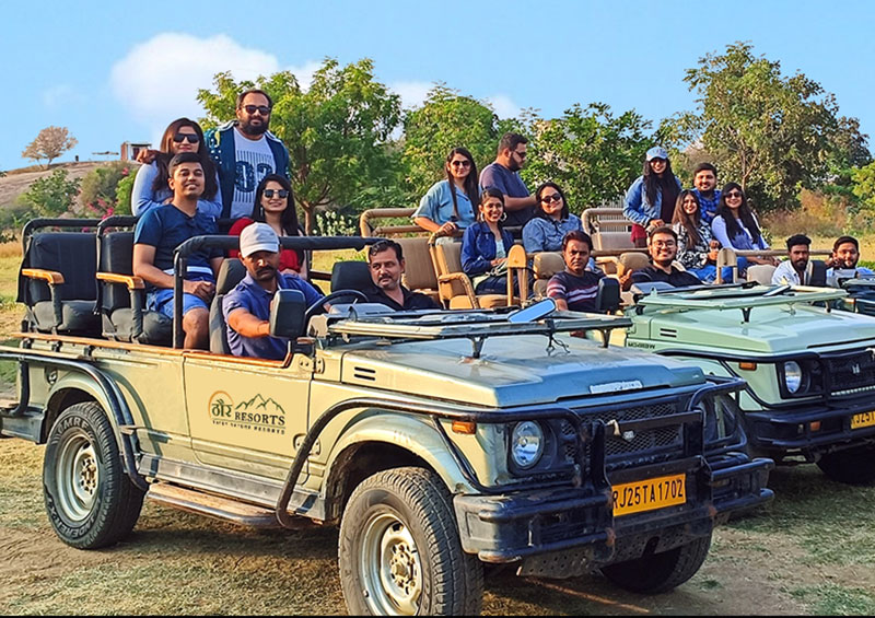 jawai bandh safari
