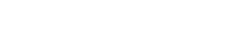 Leopard Safaris