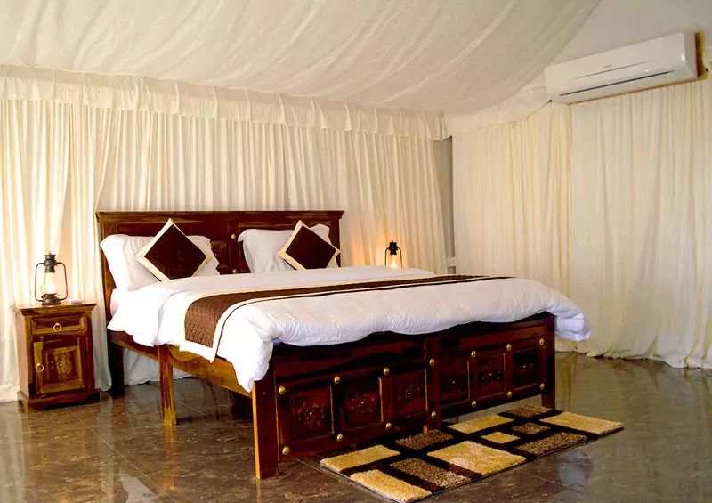 luxury tent stay in jawai 