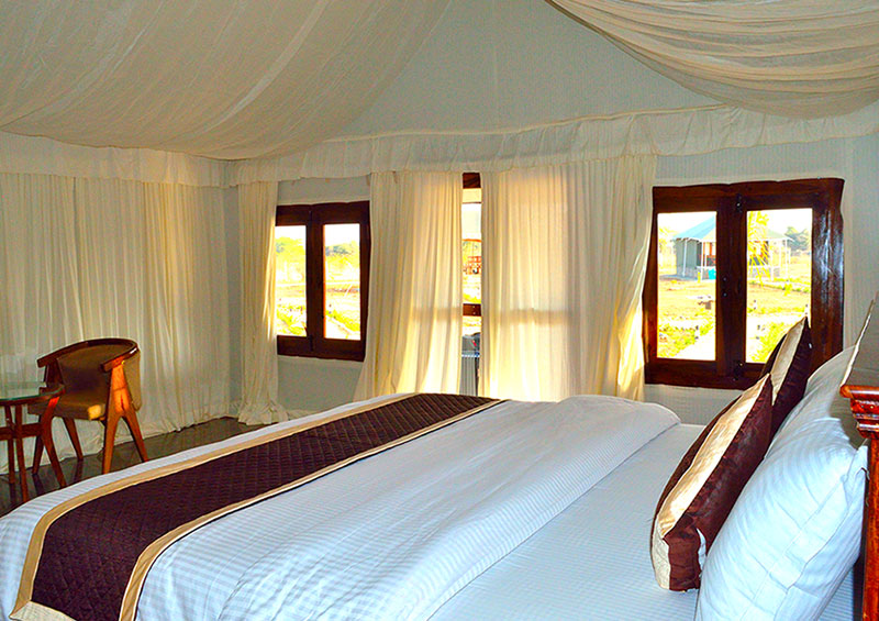 luxury tent in Rajasthan