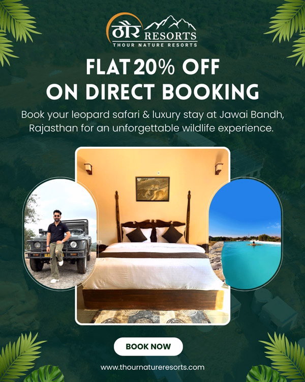 thour offer Banner